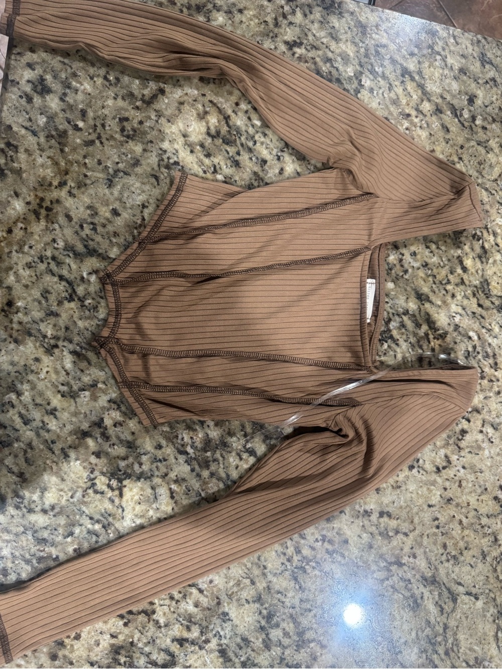 Gilded Intent Ribbed Long-Sleeve Crop Top in Tan